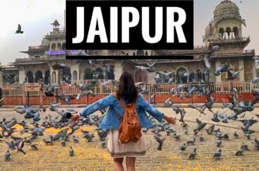 JAIPUR - The Pink City  | Part- 1 | Culture, Food, Places |