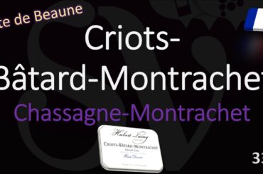Criots-Bâtard Montrachet? Burgundy Grand Cru Wine Pronunciation (Chassagne)