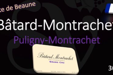 How to Pronounce Bâtard Montrachet? Burgundy Grand Cru Wine Pronunciation (Puligny)