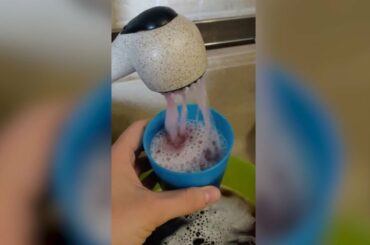 SALUTE! Plumbing malfunction causes red wine to flow from Italian faucets