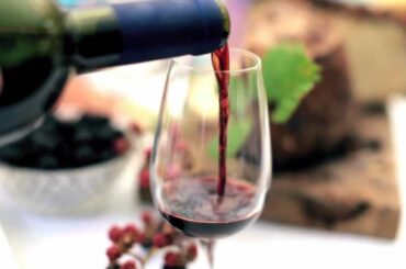 Marco's Way - Italian Winery Tours - Le Marche, Italy