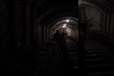 Italian wine tasting!!