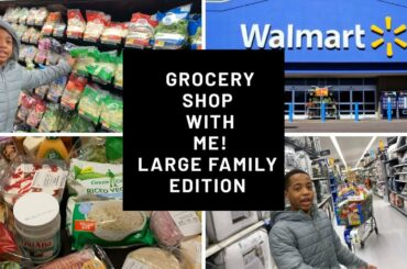 WALMART GROCERY SHOP WITH ME / LARGE FAMILY EDITION / SMTV
