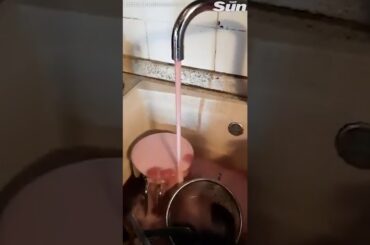 Red Wine Flows From Water Taps in Italian Village