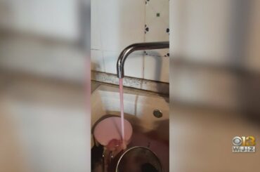 Malfunction Sends Wine Through Water Pipes In Italy