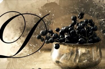 Donatellas | Montecasino | Best Italian restaurant in Johannesburg