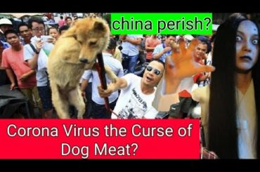 Corona Virus the Curse of Dog Meat?   china perish? ( I hate Chinese's yulin dog meat festival )