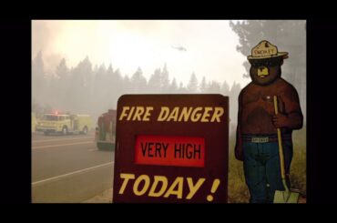 🇮🇹REXY’S CAST IRON NY STRIP STEAK 🥩 Y’ALL!💙