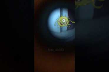 Coronavirus is our guest for dinner - funny video