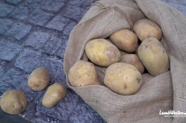 Lamb Weston / Meijer @ Beer and Food Attraction Rimini, Italy.