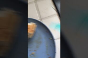 Cooking Italian sausage