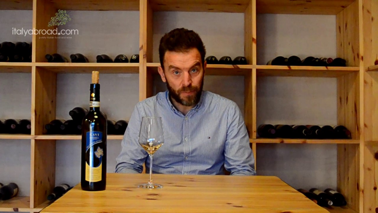 Andrea's Wine Conversations "Gavi" Andrea's Wine Conversations "Gavi"
