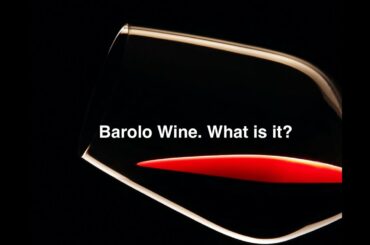 Barolo Wine Basics.
