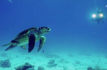 Coming soon... Embrace the possibilities of Australia