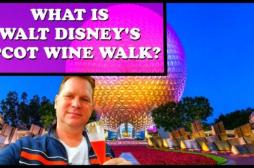 What is Disney's Wine Walk at Epcot and Hampton Inn Orlando Room 504 Tour