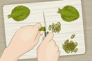 Use Oregano in Cooking