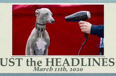 JUST the HEADLINES+ [3-11-20] emoji news, pix, &  features