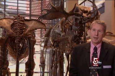 Dining and dinosaurs at these colleges