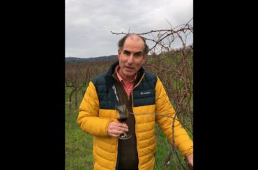 Bargetto Winery - Award-Winning Wines Since 1933