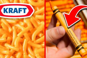 10 Mac and Cheese FACTS You Would Never Expect