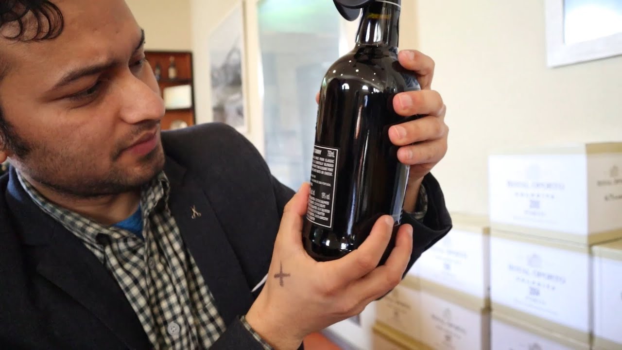 पोर्चुगल | Portugal vlog – 2 | Porto city | Wine Tasting in Porto | Country 29 पोर्चुगल | Portugal vlog - 2 | Porto city | Wine Tasting in Porto | Country 29