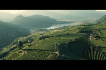Cantina Kellerei Kaltern - Südtirol/Alto Adige wines from Lake Kaltern