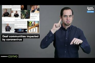 The Daily Moth 3-12-2020