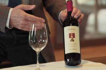 Olmaia Cabernet 2014 Organic - Col d'Orcia