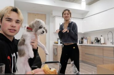 pastries & 5 star ITALIAN (￣﹃￣)