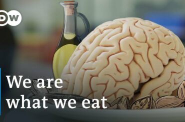 Better brain health | DW Documentary