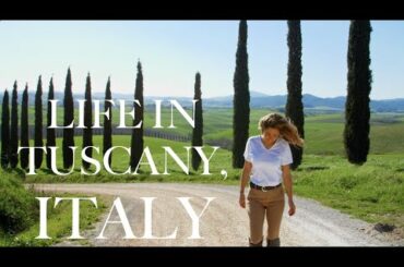 A CHAT & A CINEMATIC LEMON RICOTTA CAKE RECIPE IN TUSCANY, ITALY