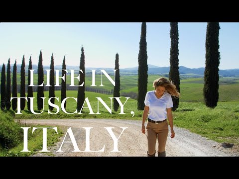 A CHAT & A CINEMATIC LEMON RICOTTA CAKE RECIPE IN TUSCANY, ITALY A CHAT & A CINEMATIC LEMON RICOTTA CAKE RECIPE IN TUSCANY, ITALY