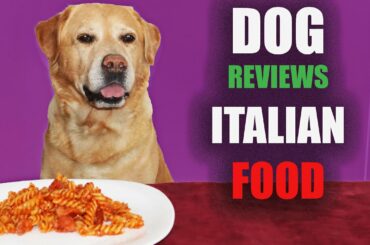 DOG REVIEWS ITALIAN FOOD ASMR Eating ( No Talking) EATING SOUNDS