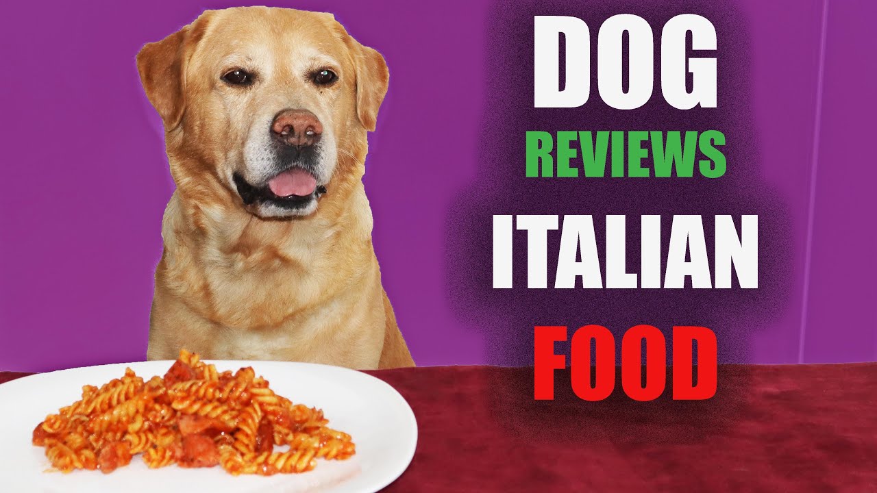 DOG REVIEWS ITALIAN FOOD ASMR Eating ( No Talking) EATING ...
