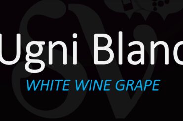How to Pronounce Ugni Blanc? The Grape behind Cognac & Armagnac Brandy