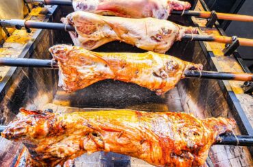 EXTREME Street Food in Turkey - BABY DINOSAUR BBQ + Turkish Street Food Tour of Istanbul, Turkey!!!