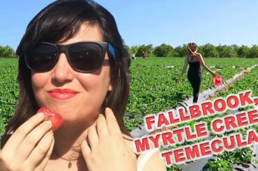 Fallbrook, Myrtle Creek, Temecula: Strawberry Picking, Gardens, Vineyards