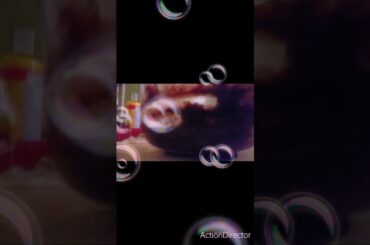 Cook with my cake me and brother king and my sister italy