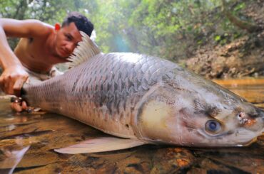 Grilling Biggest Fish for Dinner in Forest