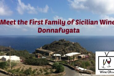 Meet the First Family of Sicilian Wine: Donnafugata