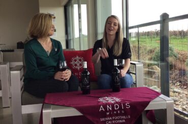 Andis Wines Estate Zinfandel vs Andis Original Grandpere Zinfandel