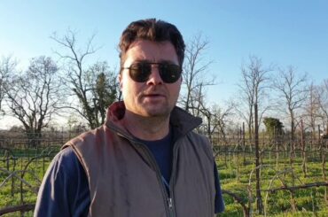 We have a hairy problem - Sfriso Winery