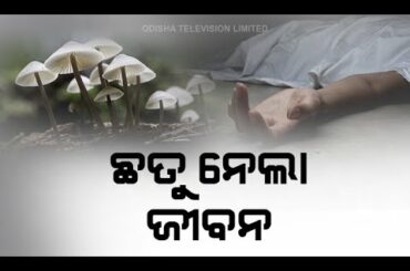 One Dies, 3 Others Critical After Eating Poisonous Mushroom In Sambalpur