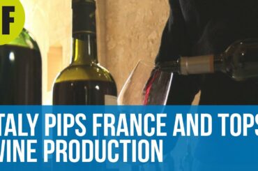 Italy pips France and tops wine production