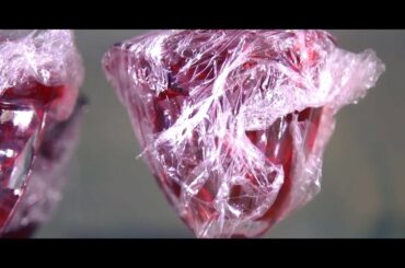 MCAF Quantico Mess Hall Competes for W.P.T Hill Food Service Excellence Award QUANTICO,UNITED STATES