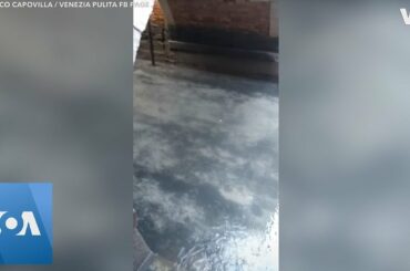 Venice Canals Unusually Clean as Italy Remains on COVID-19 Lock Down