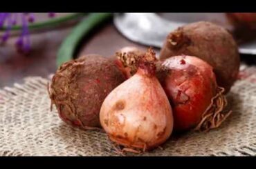 Barilla Guide to Regional Italian Cuisine – Puglia