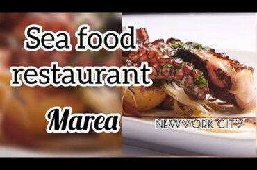 New York Taste_(1)Italian sea food in NYC_Marea_Luxury pasta_Fine dining_ Central Park icon