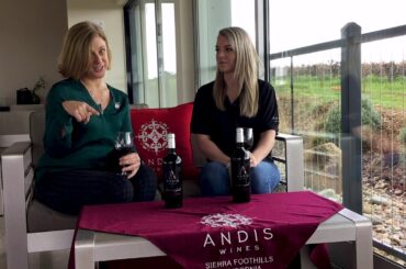 Andis Wines Estate Zinfandel vs Andis Original Grandpere Zinfandel