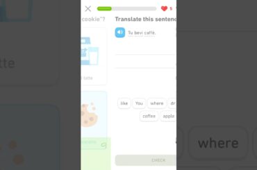 Duolingo Food and Phrases (4 lives Italian) (Perfect 5 lives German)